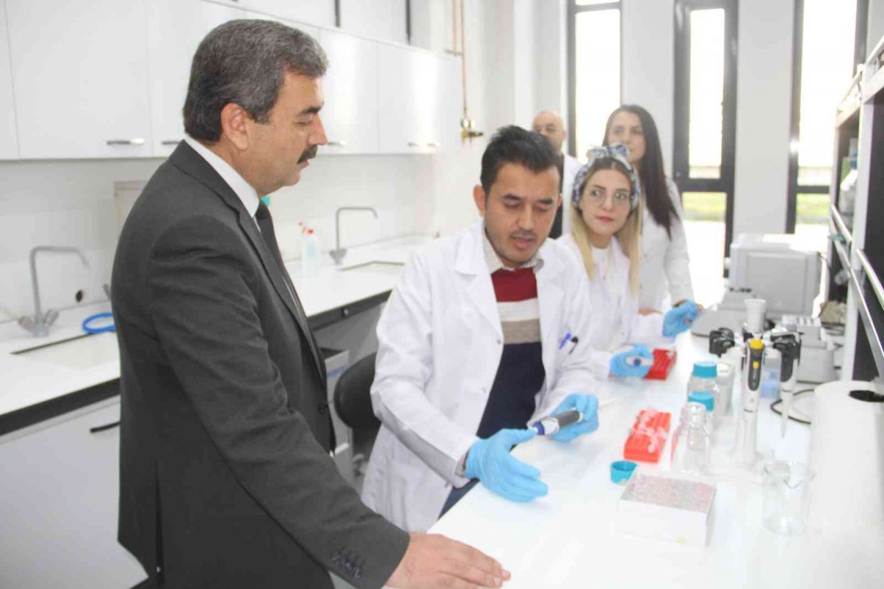 Prof. Dr. Mehmet Kul, yeniden Sivas Bilim ve Teknoloji Üniversitesi Rektörü olarak atandı