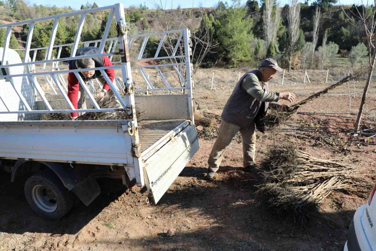Kuruyan fidanların yerine yenisi dikildi