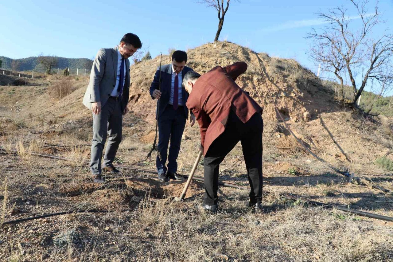 Kuruyan fidanların yerine yenisi dikildi