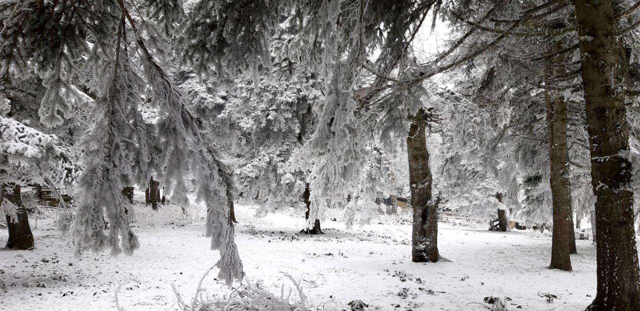 Abant Tabiat Parkı’nda kar yağışı başladı