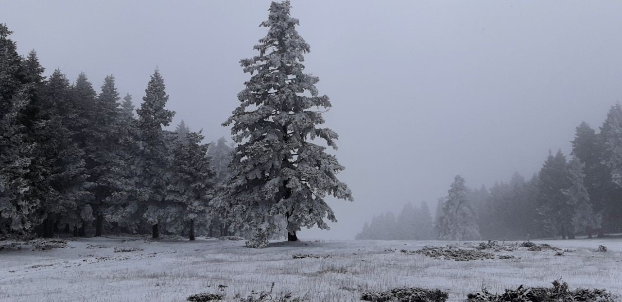 Abant Tabiat Parkı’nda kar yağışı başladı