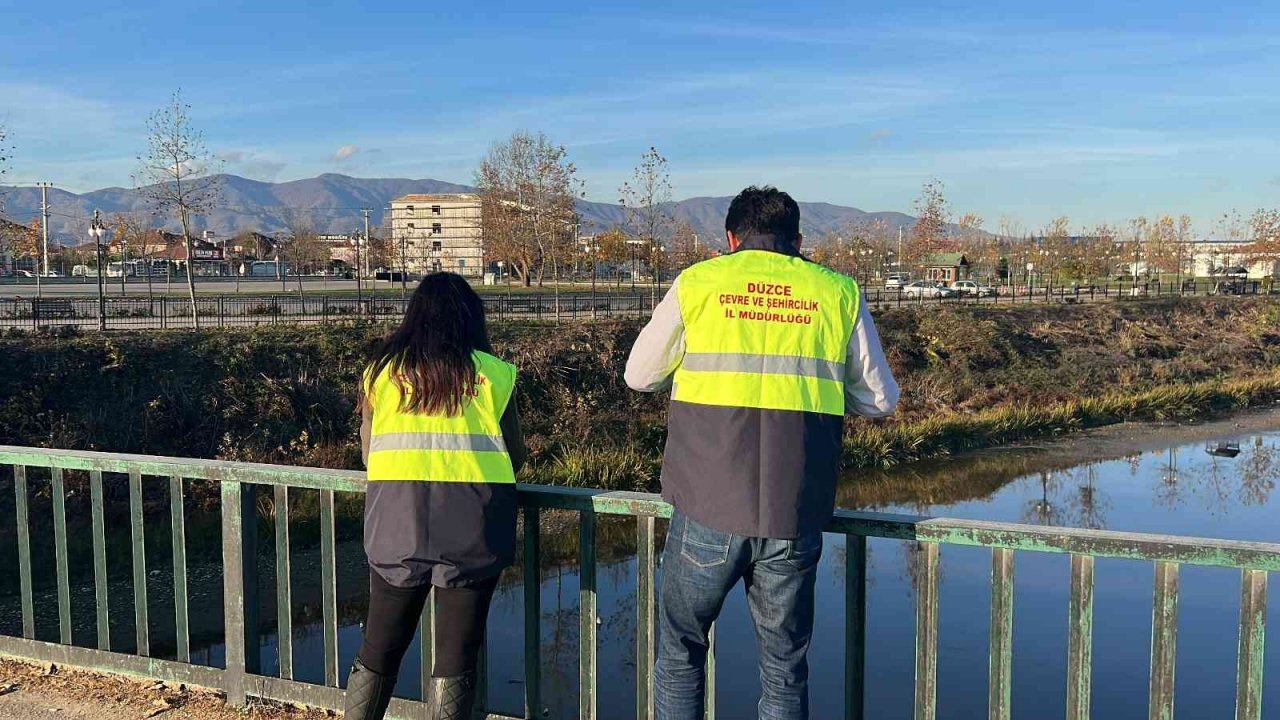Çayı kirletip balık ölümüne sebep olan firmaya 66 bin lira ceza kesildi