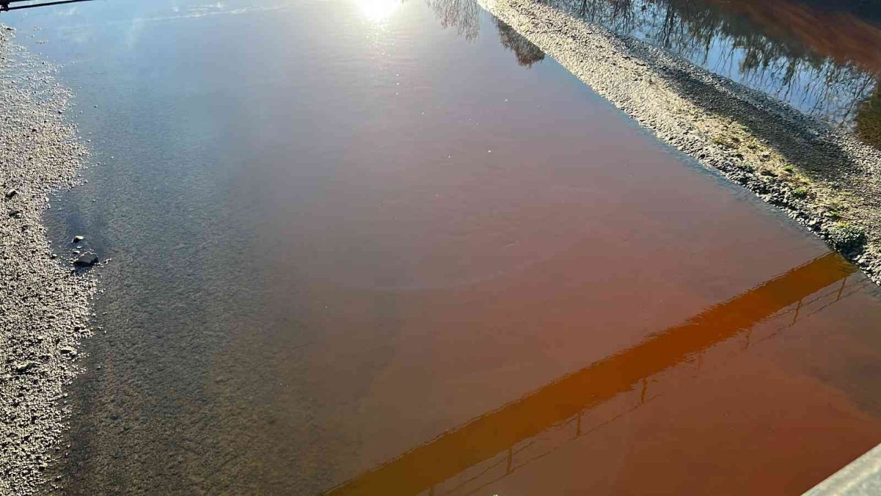 Çayı kirletip balık ölümüne sebep olan firmaya 66 bin lira ceza kesildi