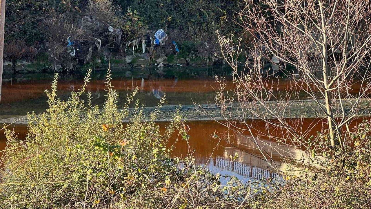 Çayı kirletip balık ölümüne sebep olan firmaya 66 bin lira ceza kesildi
