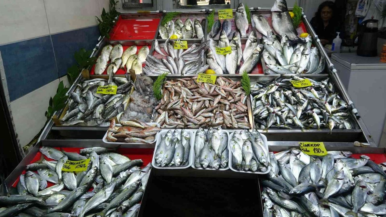 Havalar geç soğudu, az çıkan lüfer ve çinekopun fiyatı arttı