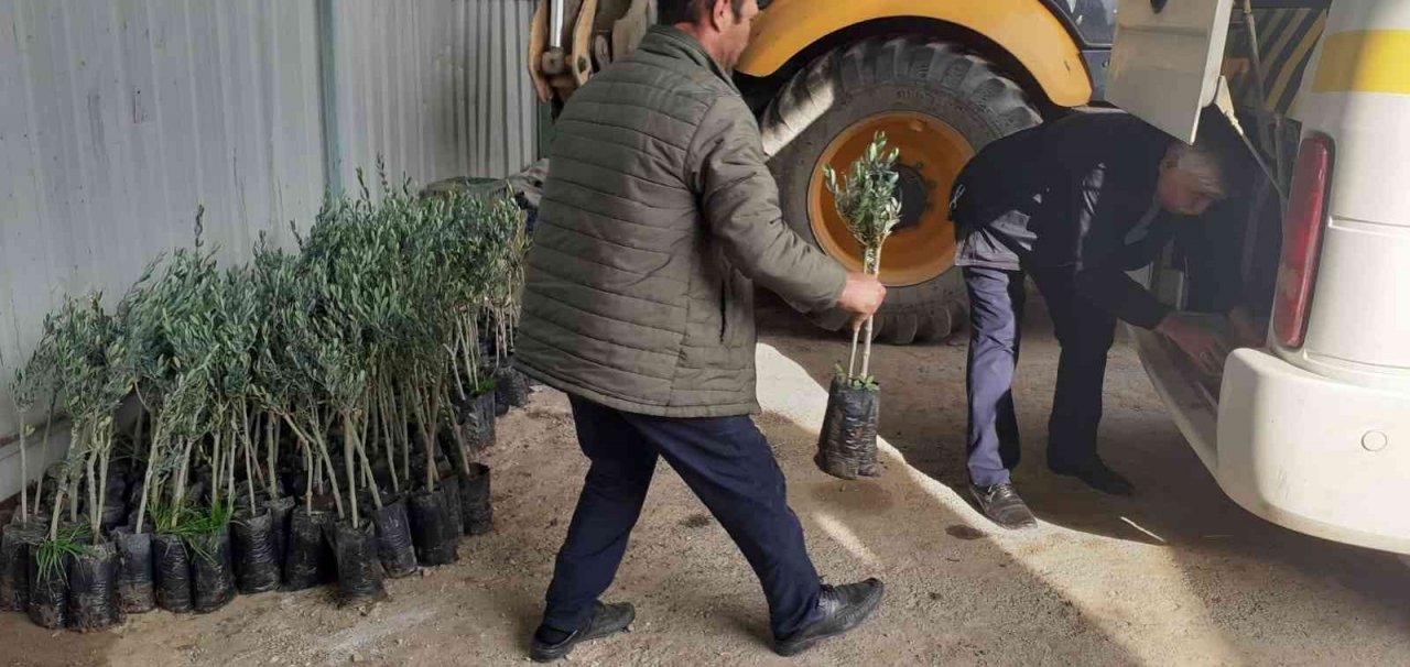 Fidanlar üreticilerle buluştu