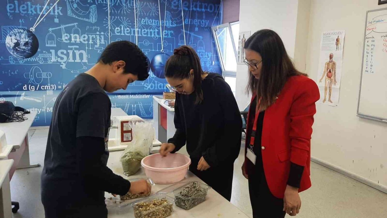 Doğal bitkilerden saç boyası ürettiler