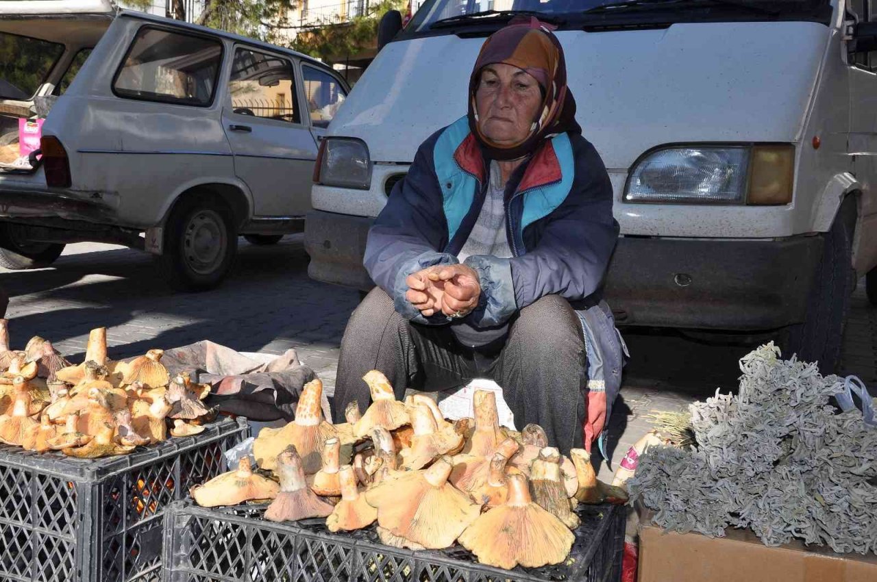 Çıntar köylünün geçim kaynağı oldu