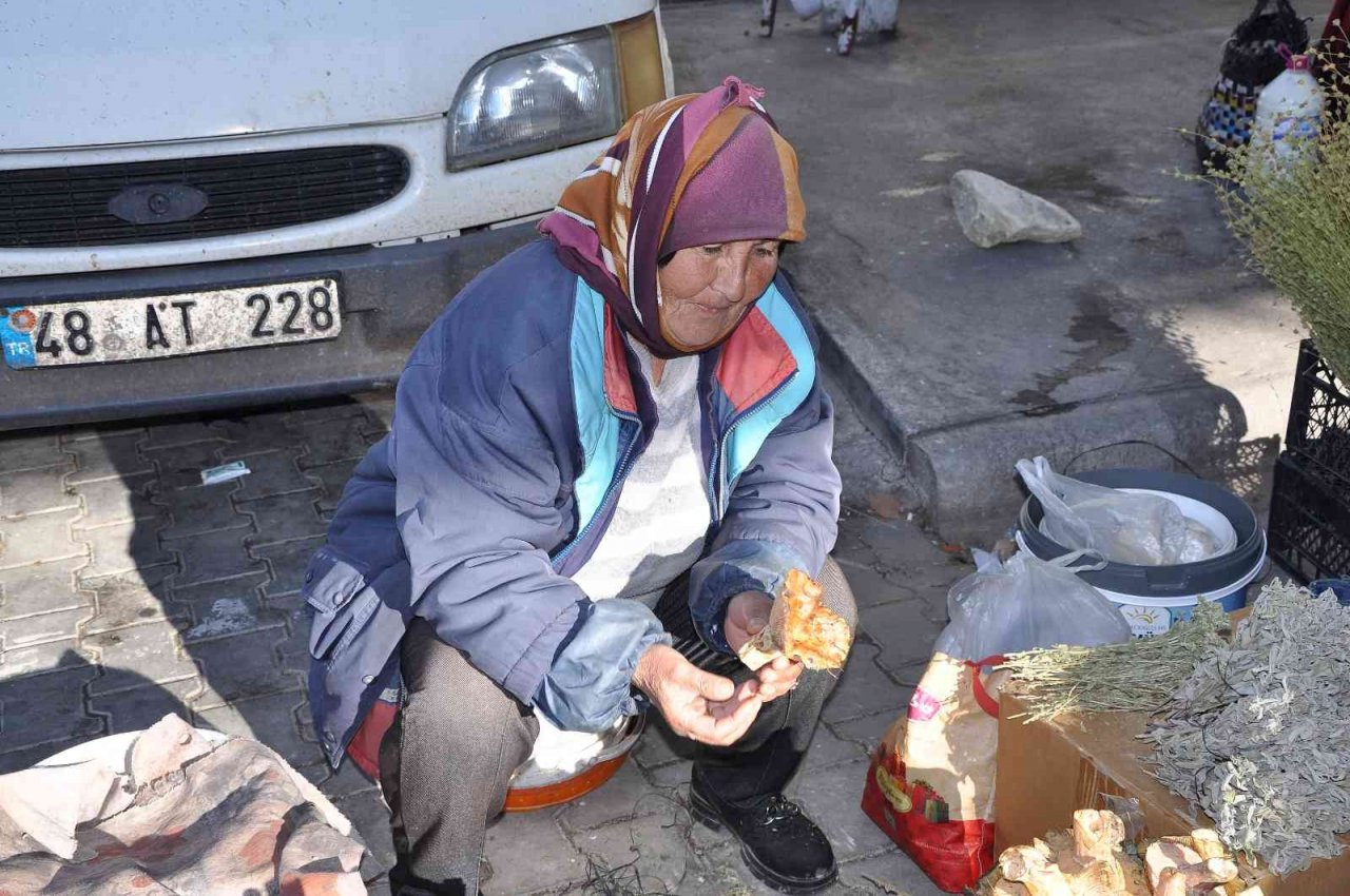 Çıntar köylünün geçim kaynağı oldu