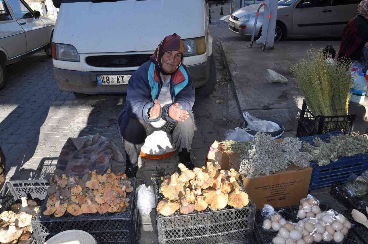 Çıntar köylünün geçim kaynağı oldu