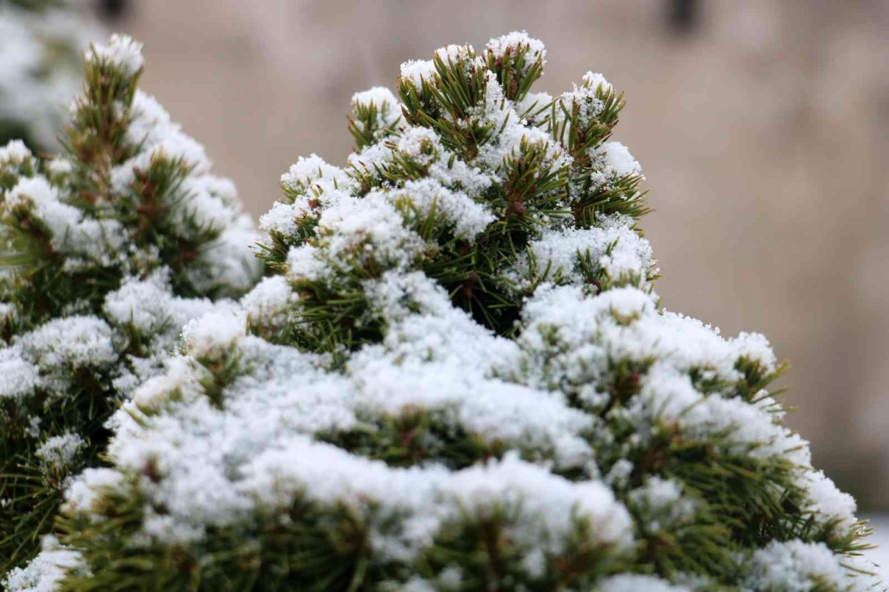 Şehir merkezine mevsimin ilk karı düştü