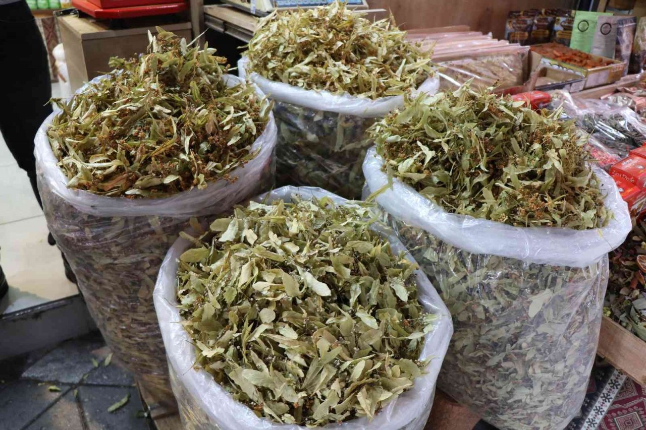 Ihlamurun kilosu 400 TL