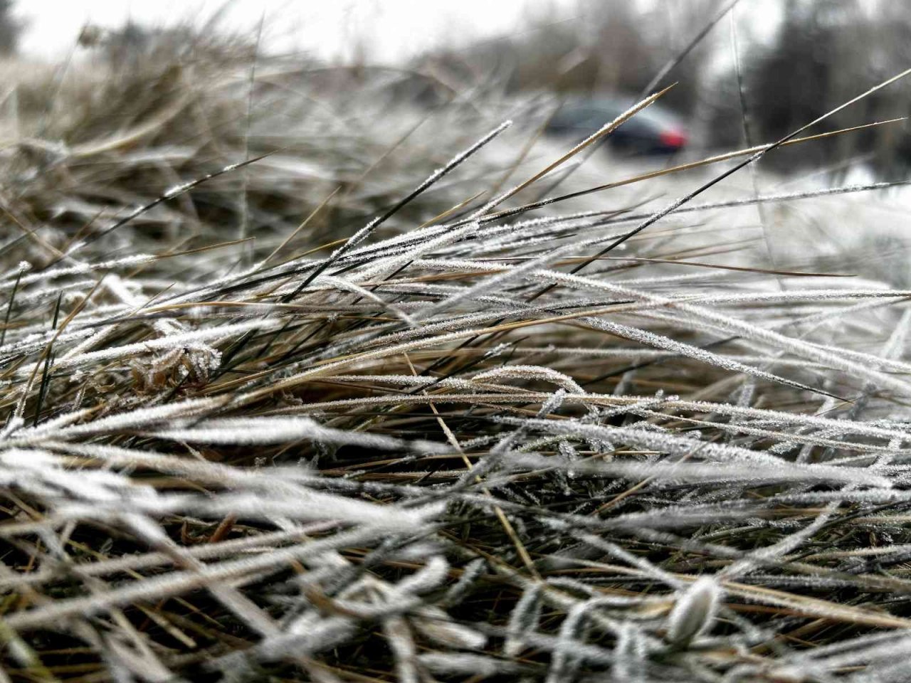 Erzurum buz kesti, hava sıcaklığı eksi 7’ye düştü