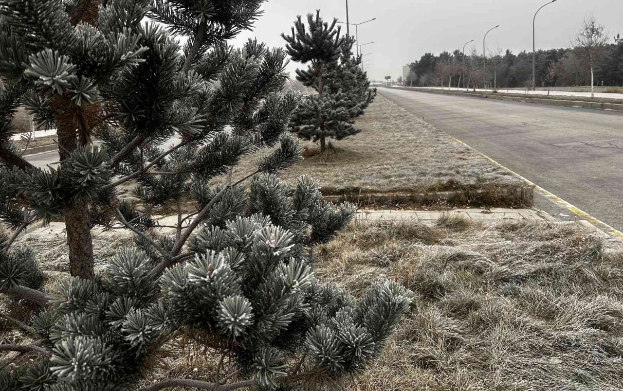 Erzurum buz kesti, hava sıcaklığı eksi 7’ye düştü