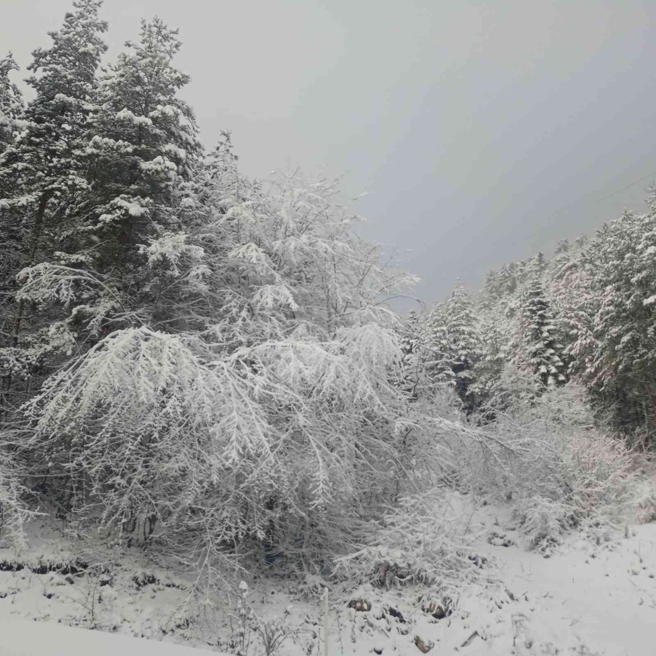 Karabük’te kar yağışı etkili oluyor