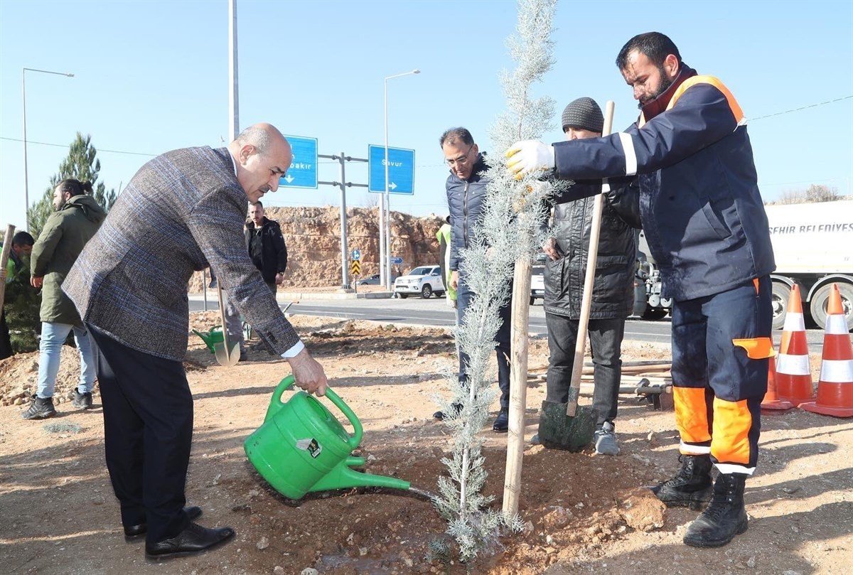 Mardin’de 2 bin ağaç ve fidan daha toprakla buluştu