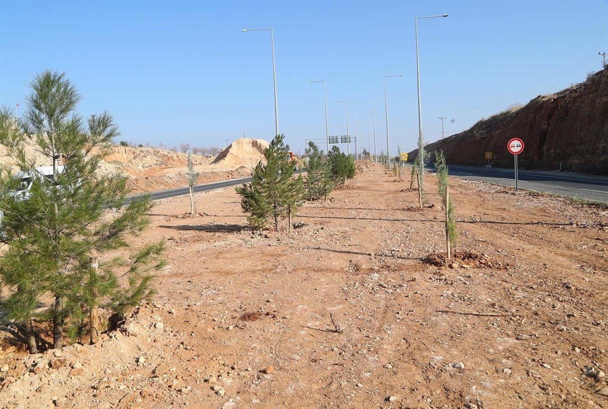 Mardin’de 2 bin ağaç ve fidan daha toprakla buluştu
