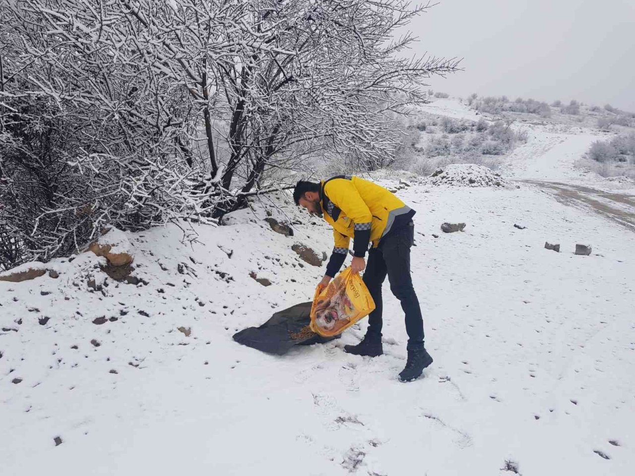 Belediye ekipleri sokak hayvanlarını unutmuyor