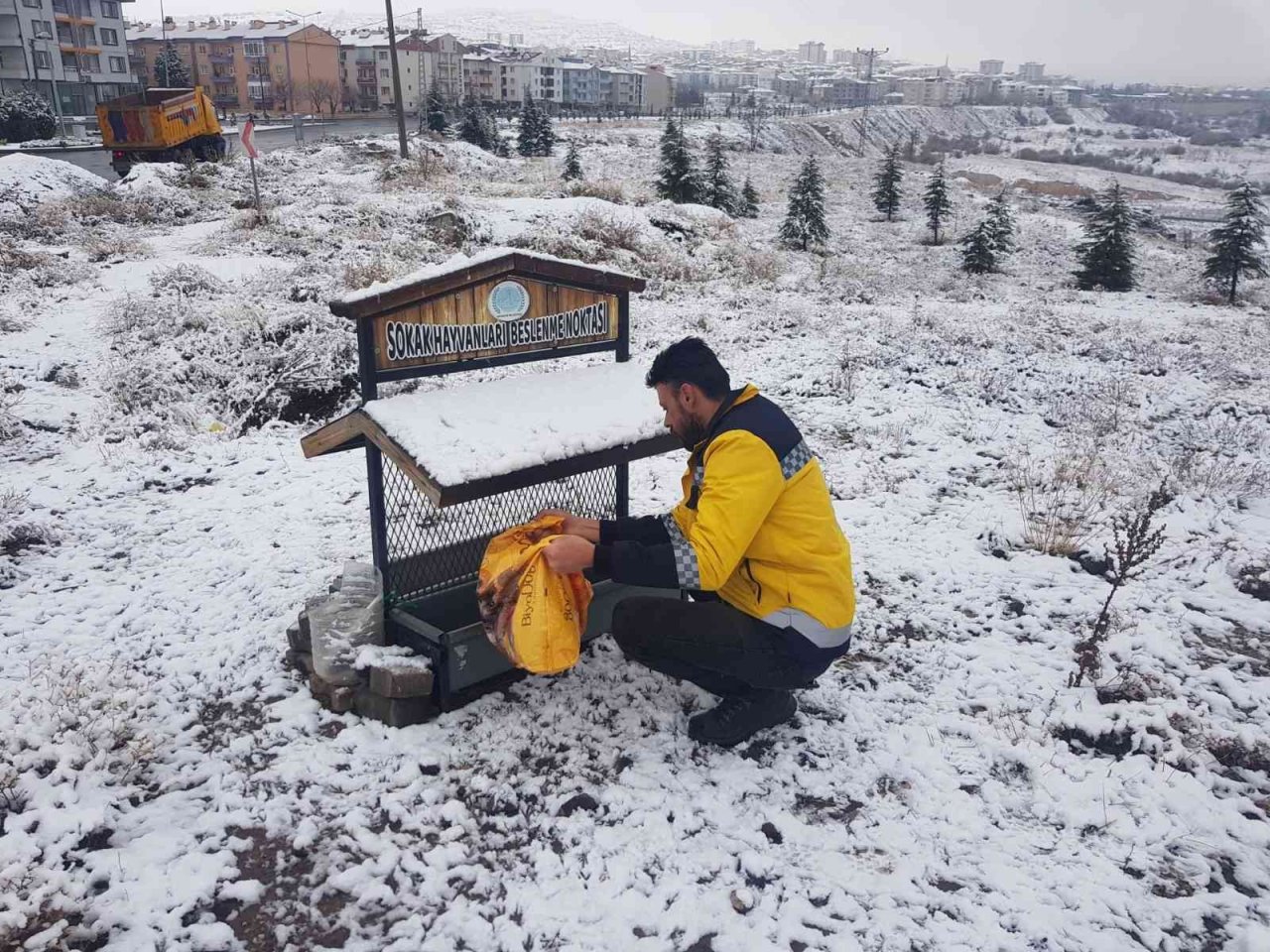 Belediye ekipleri sokak hayvanlarını unutmuyor