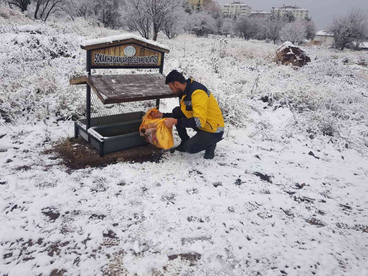 Belediye ekipleri sokak hayvanlarını unutmuyor
