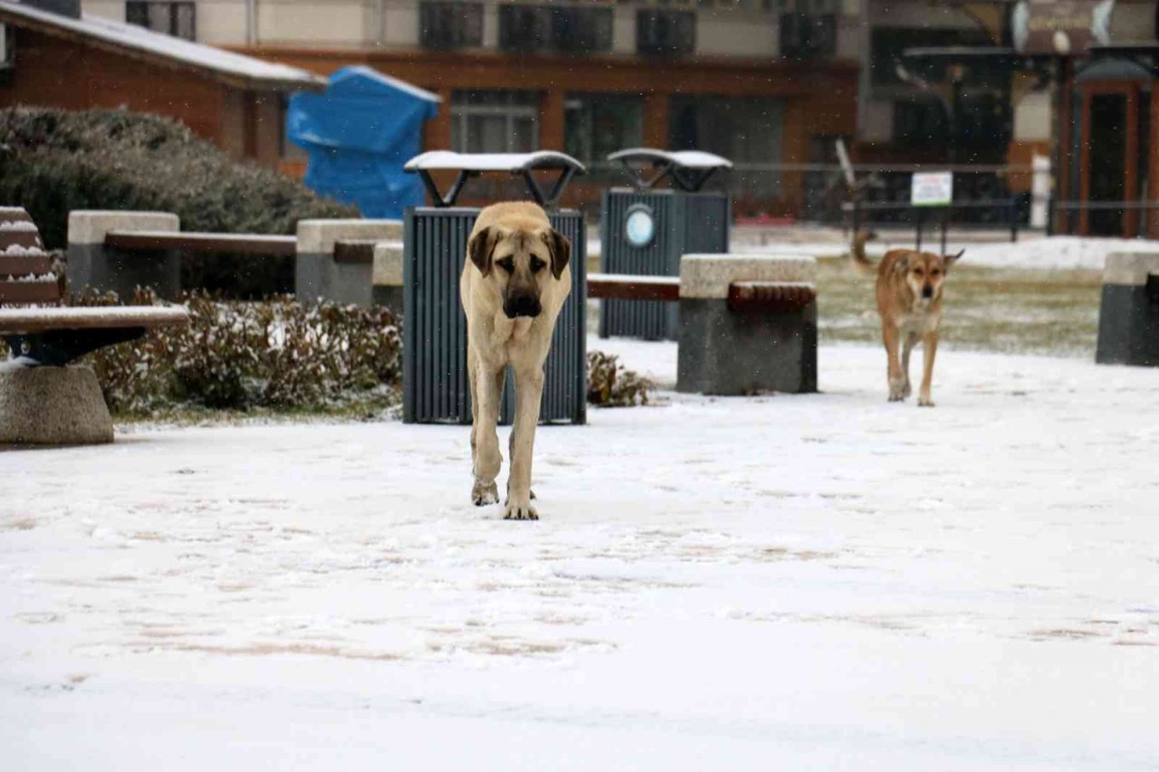 Şehir merkezine mevsimin ilk karı düştü