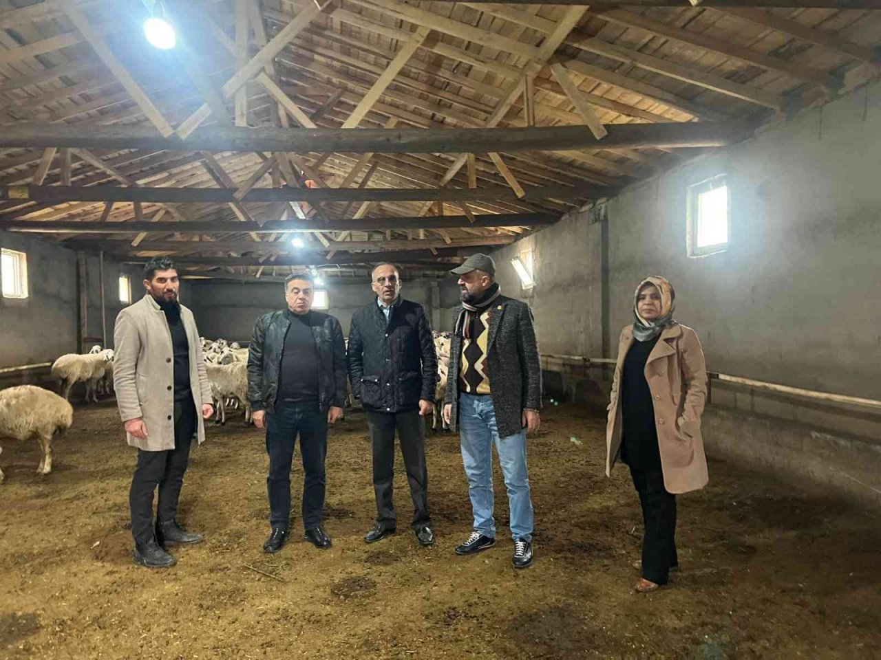 Malatya’da Akkaraman ırkı koyun yetiştiriciliği yaygınlaştırılıyor