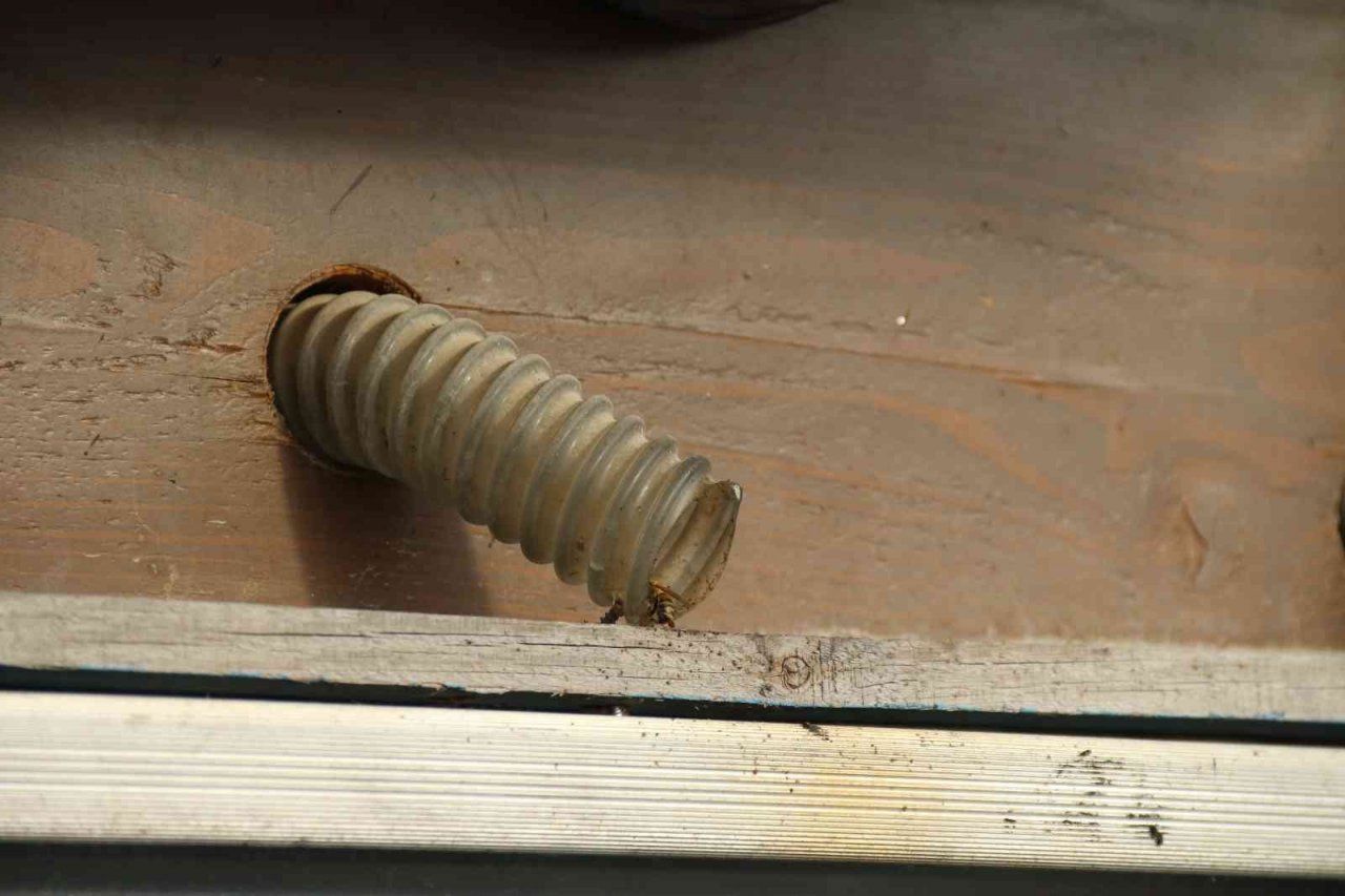 Arıları gözlemlemek için ‘Arıvaryum’ adında kovan dizayn etti