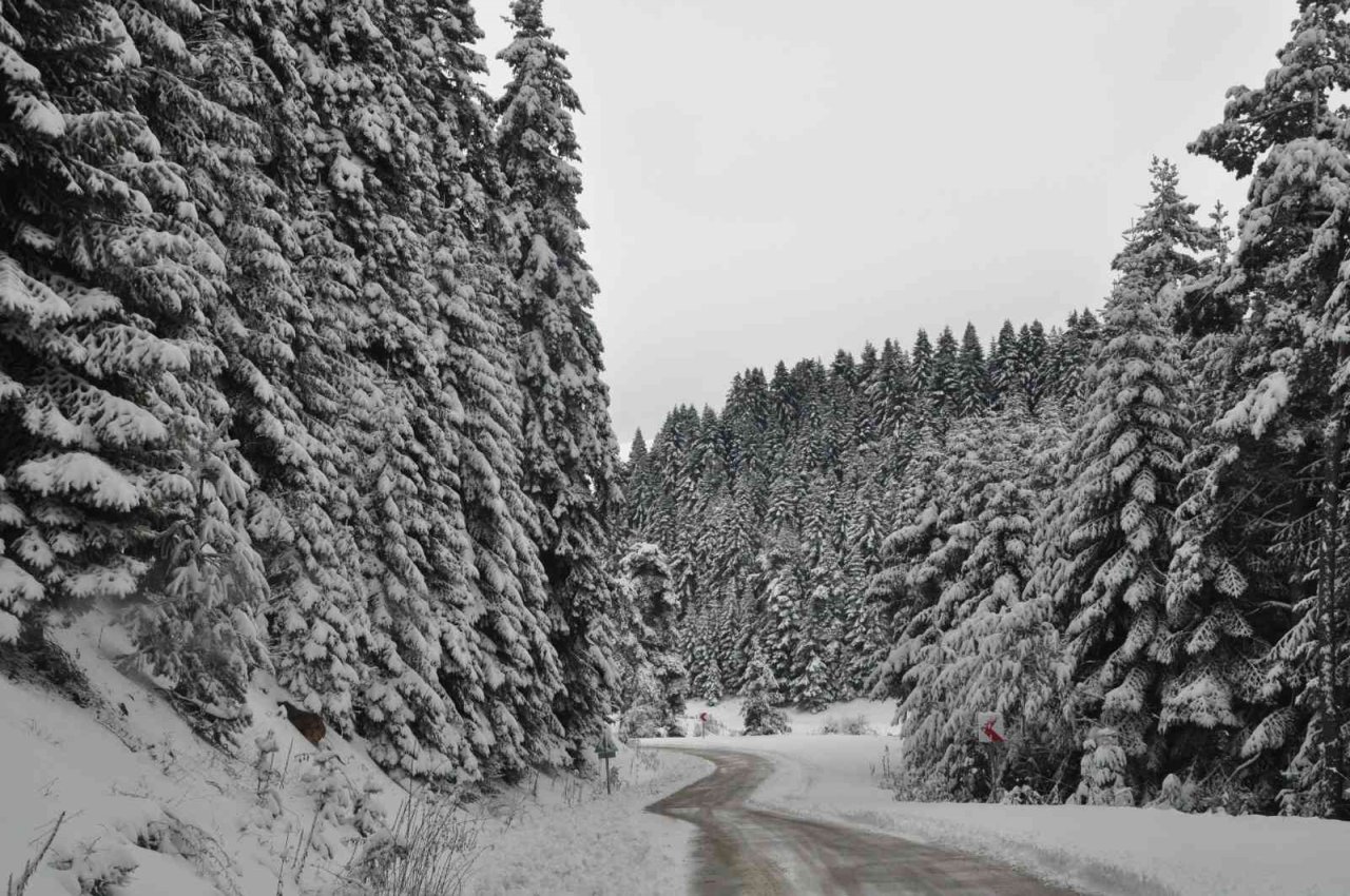 Karla kaplı Abant’a kış güzelliği