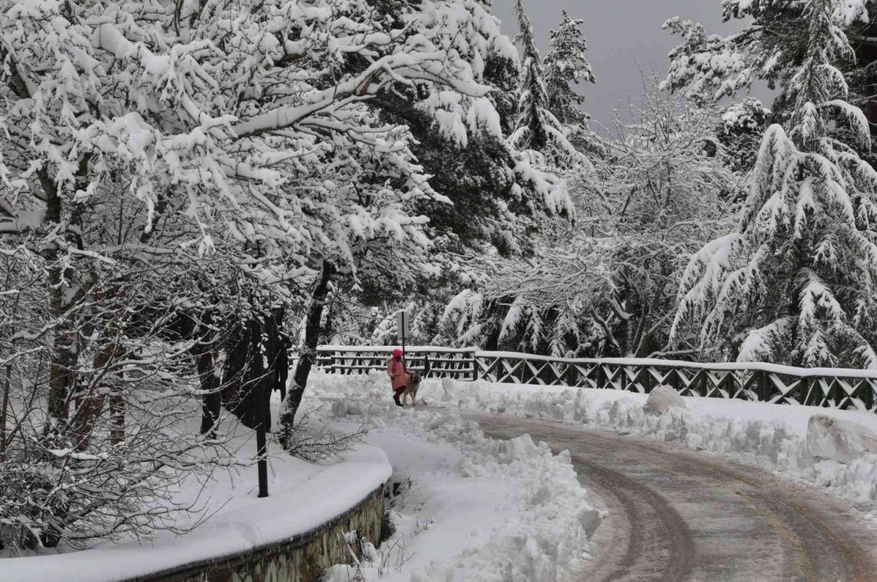 Karla kaplı Abant’a kış güzelliği