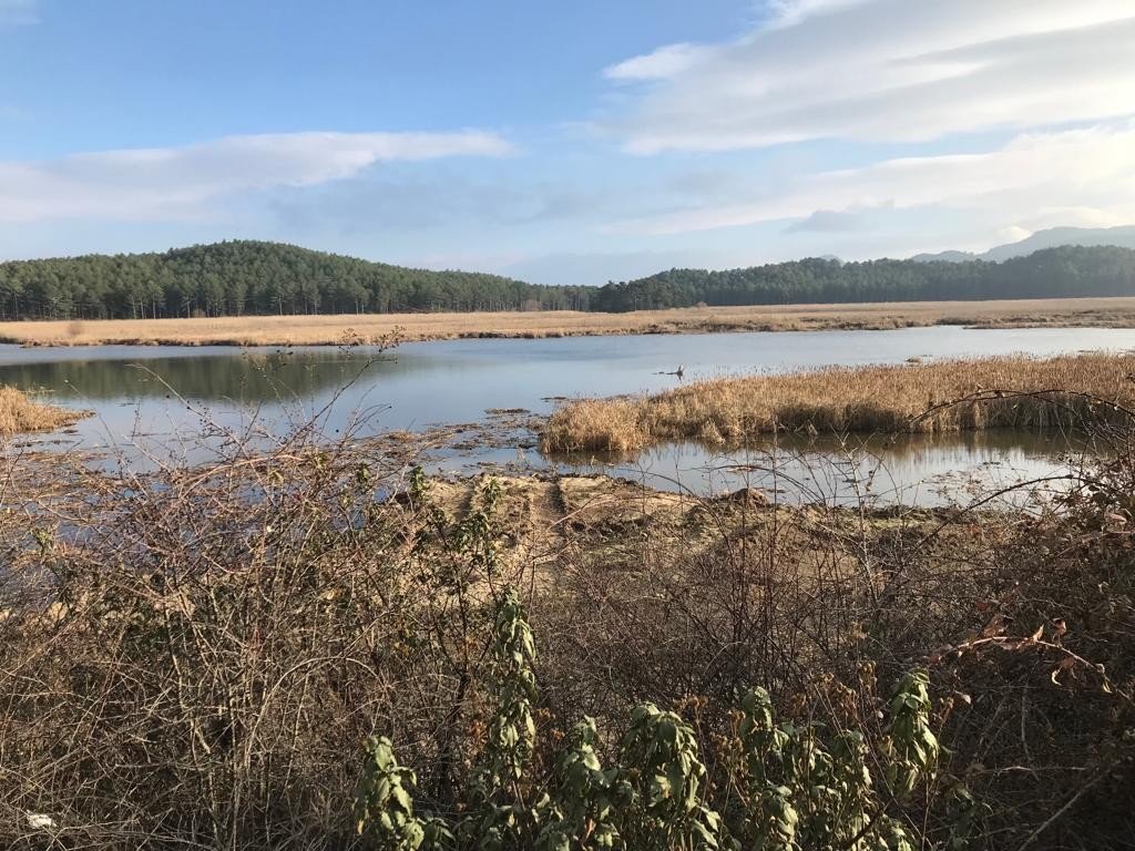 Süleymanlı Yayla Gölünde dip temizliği yapılıyor