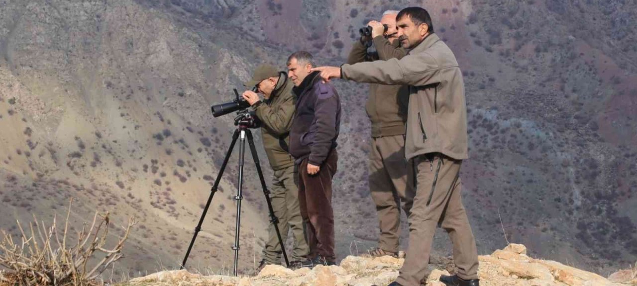 Elazığ’da yaban keçisi envanter çalışması yapıldı