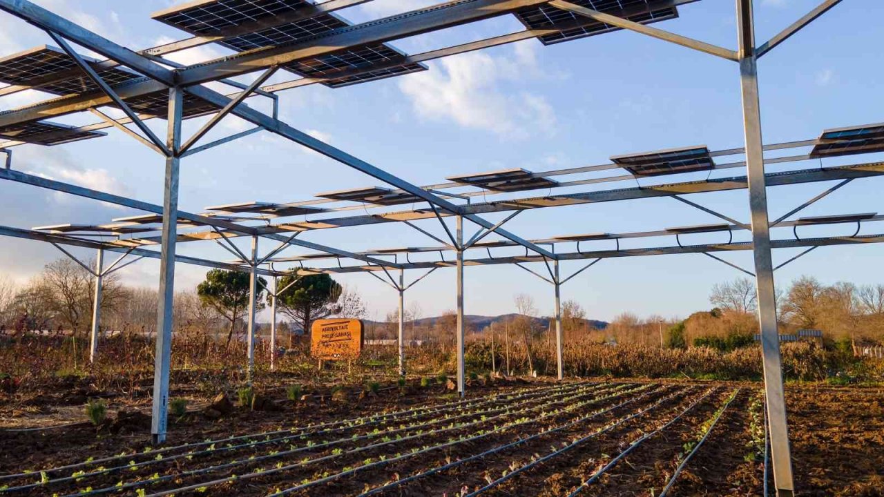 EnerjiSA Üretim, Komşuköy iş birliğiyle agrivoltaik tarıma başlıyor