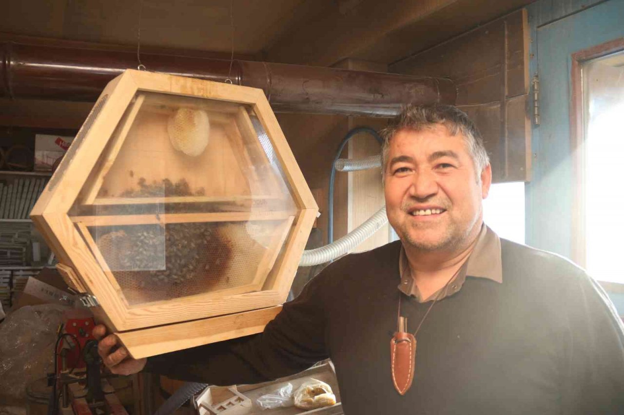 Arıları gözlemlemek için ‘Arıvaryum’ adında kovan dizayn etti