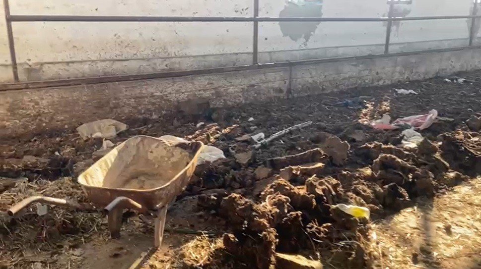 Yine Kemalpaşa, yine aynı işletmeci, yine mide bulandıran görüntüler