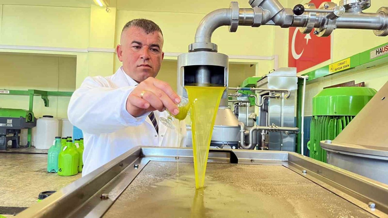 Yeni Şakran’ın aromatik zeytinyağları sofralardaki yerini alıyor