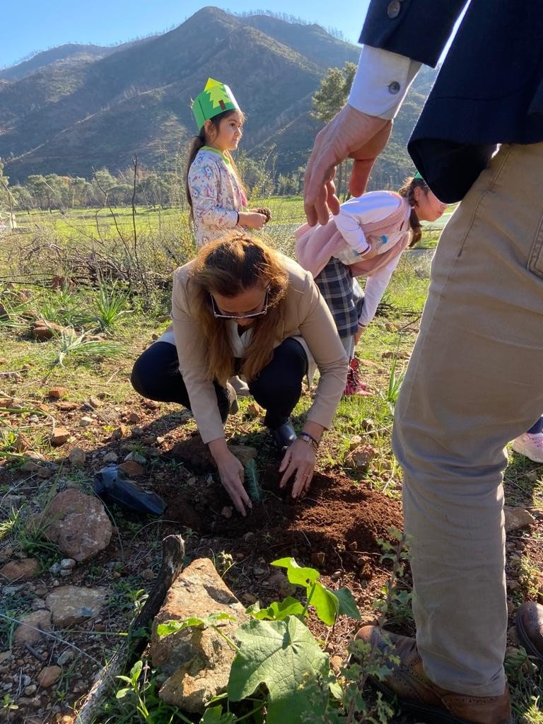 Marmaris’te öğrencilerden ‘mavi yeşil ‘ etkinliği