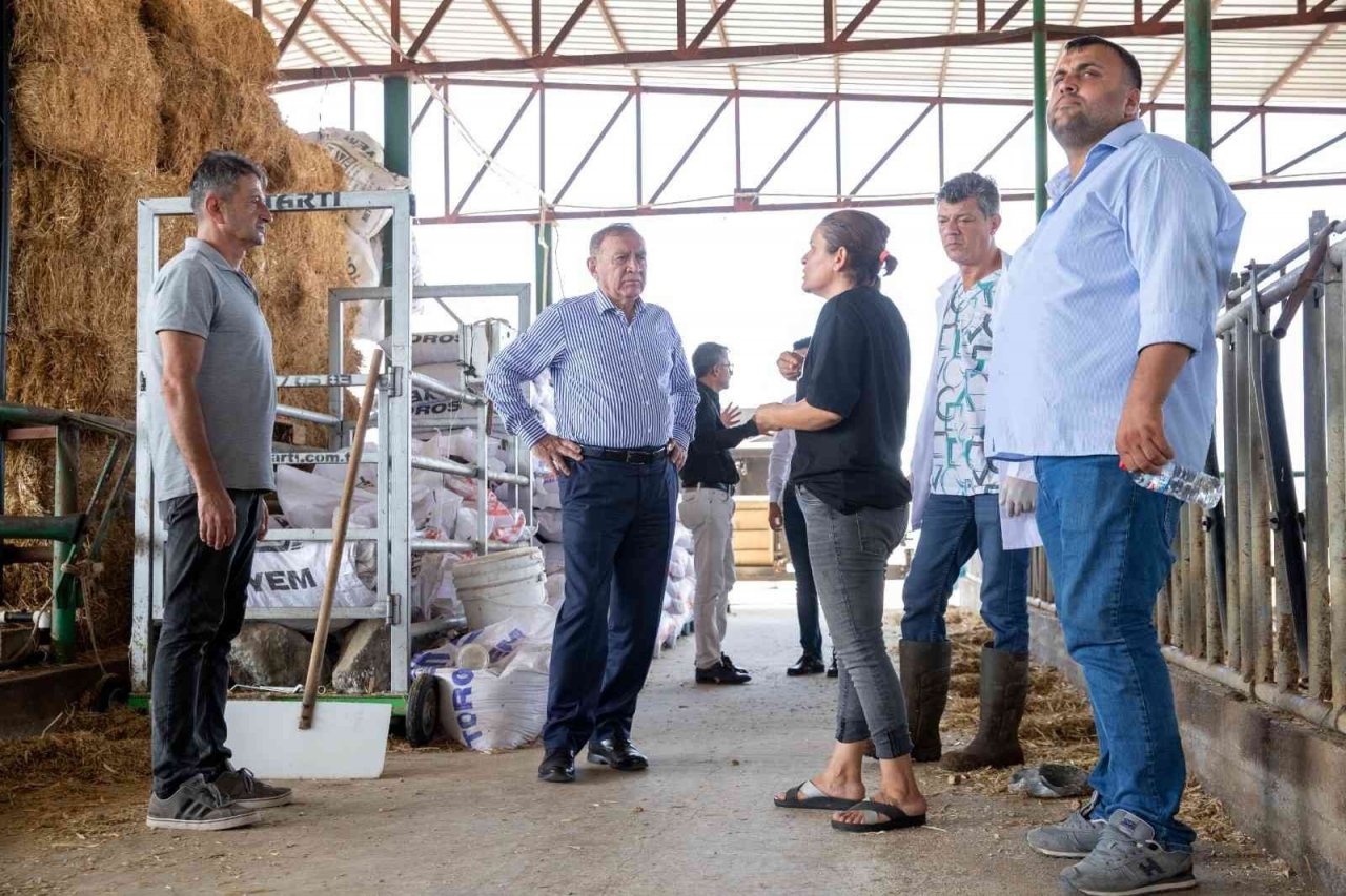 Seyhan Belediyesi’nden, üreticilere koruyucu hayvan sağlığı hizmeti