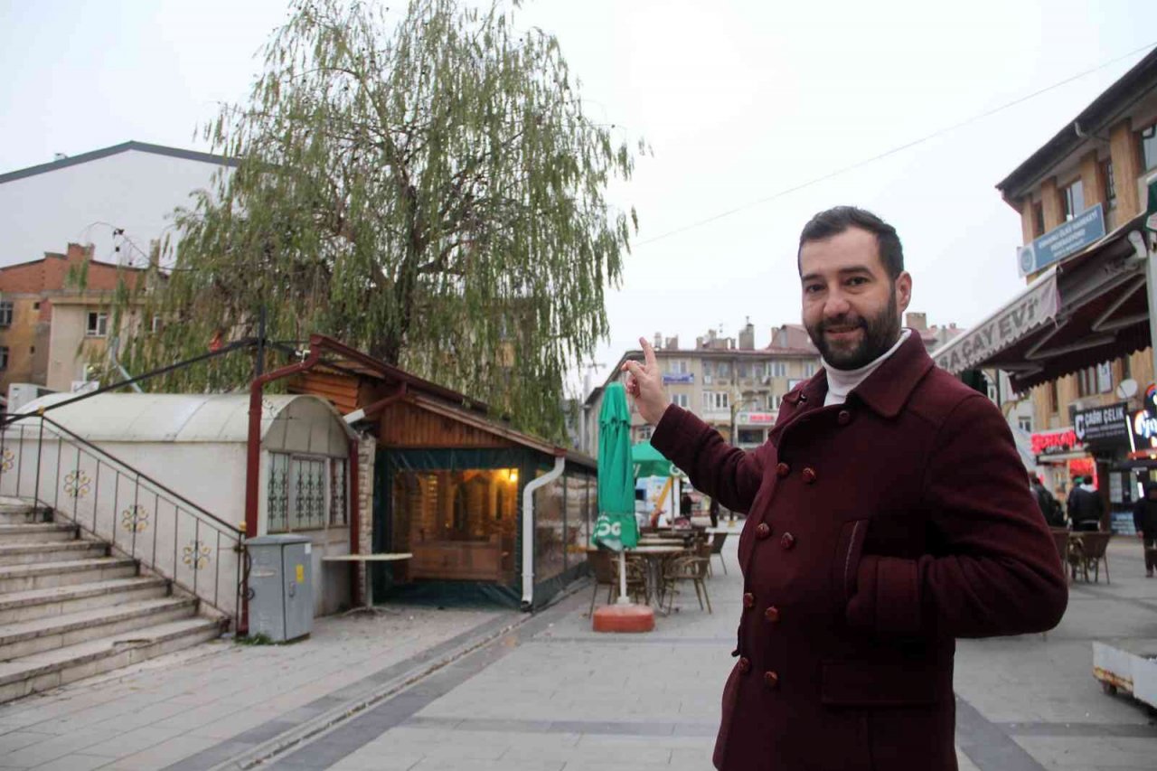 Kafenin ortasından yükselen ağaç dikkat çekiyor