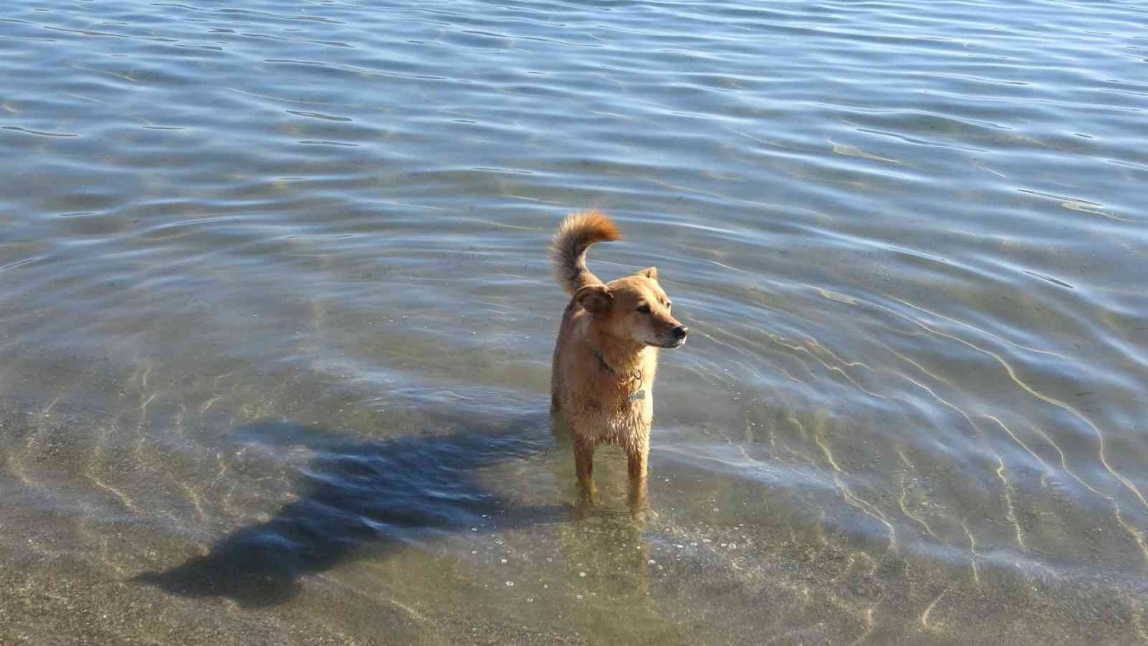 Ülkenin doğusunda kar, Marmaris’te deniz keyfi