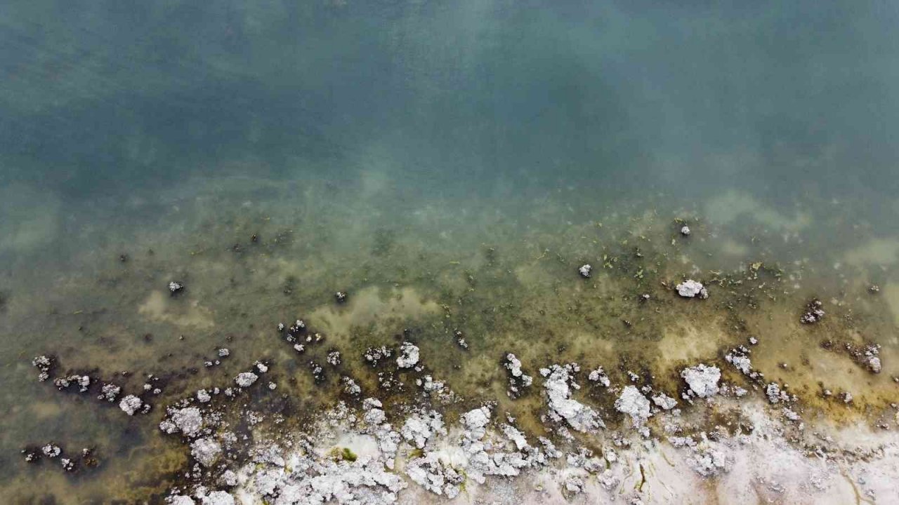 Sular çekilince mikrobiyalitler gün yüzüne çıktı, liman kullanılamaz hale geldi