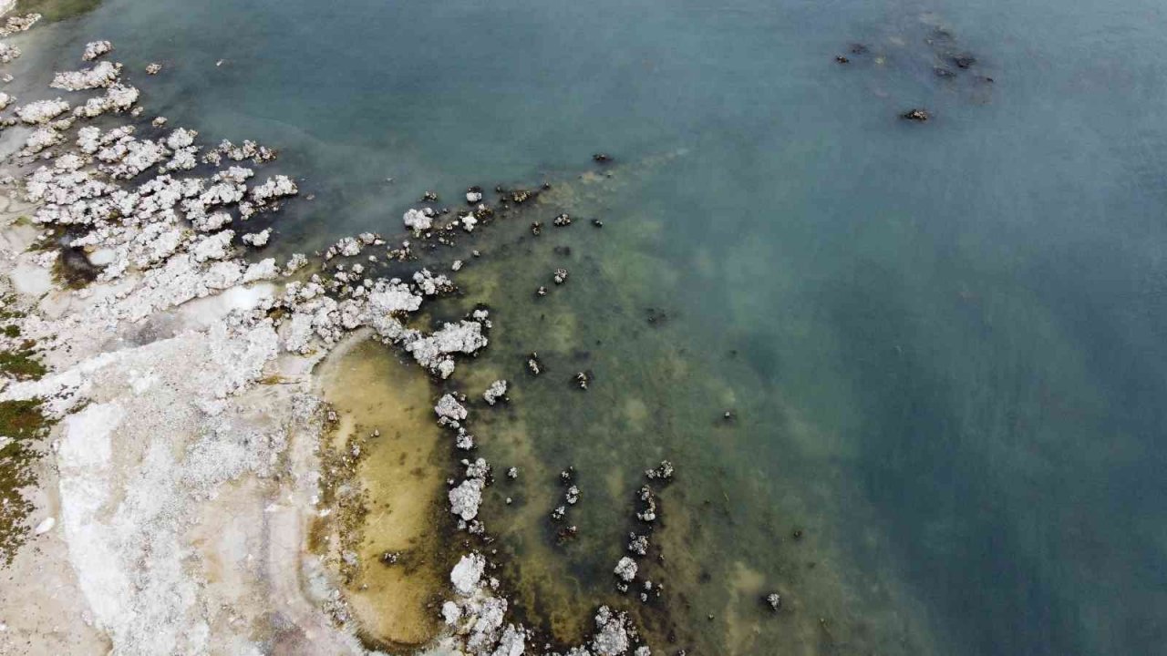 Sular çekilince mikrobiyalitler gün yüzüne çıktı, liman kullanılamaz hale geldi