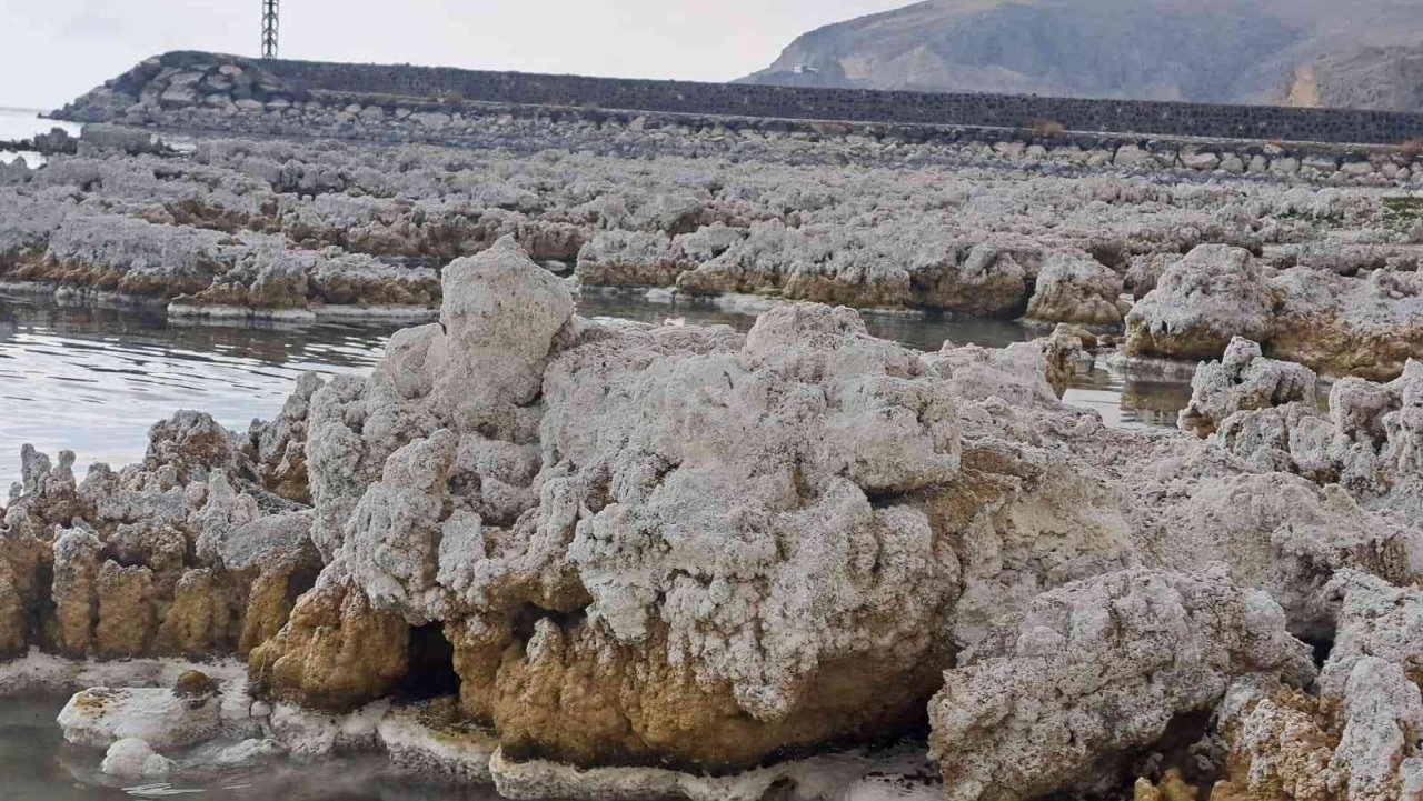 Sular çekilince mikrobiyalitler gün yüzüne çıktı, liman kullanılamaz hale geldi