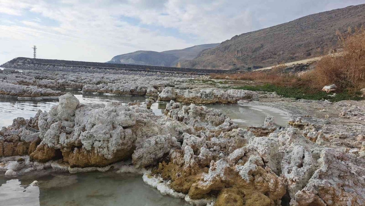 Sular çekilince mikrobiyalitler gün yüzüne çıktı, liman kullanılamaz hale geldi