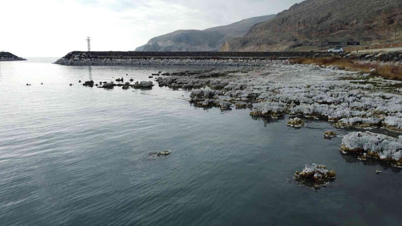 Sular çekilince mikrobiyalitler gün yüzüne çıktı, liman kullanılamaz hale geldi