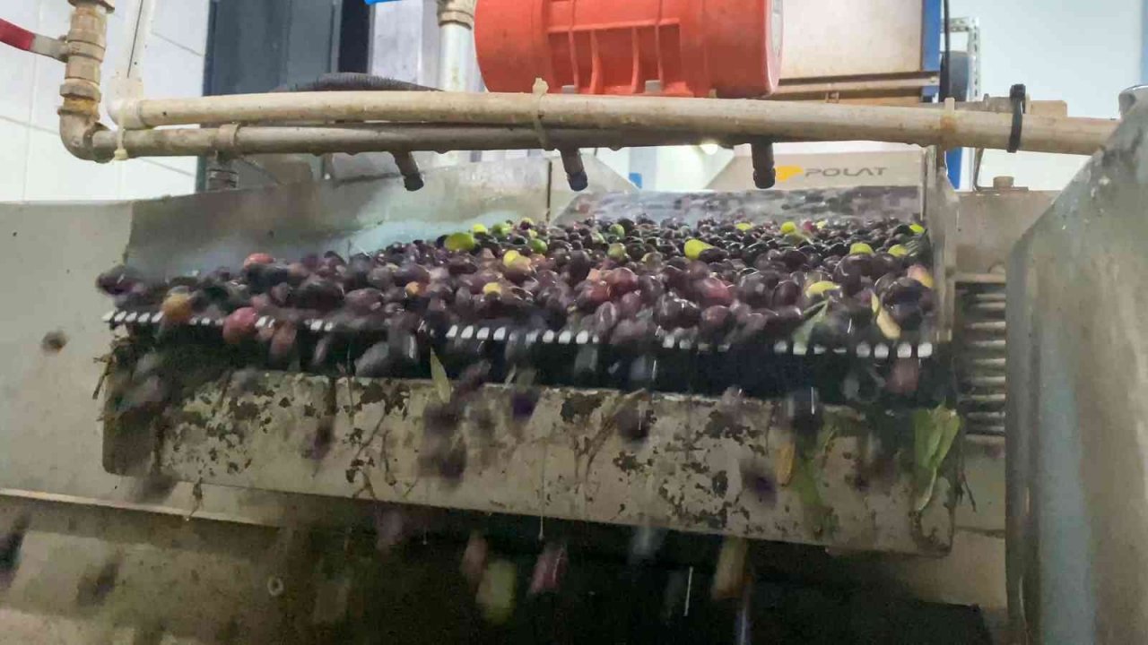 İcradan alındı, yeniden doğdu, rekora gidiyor