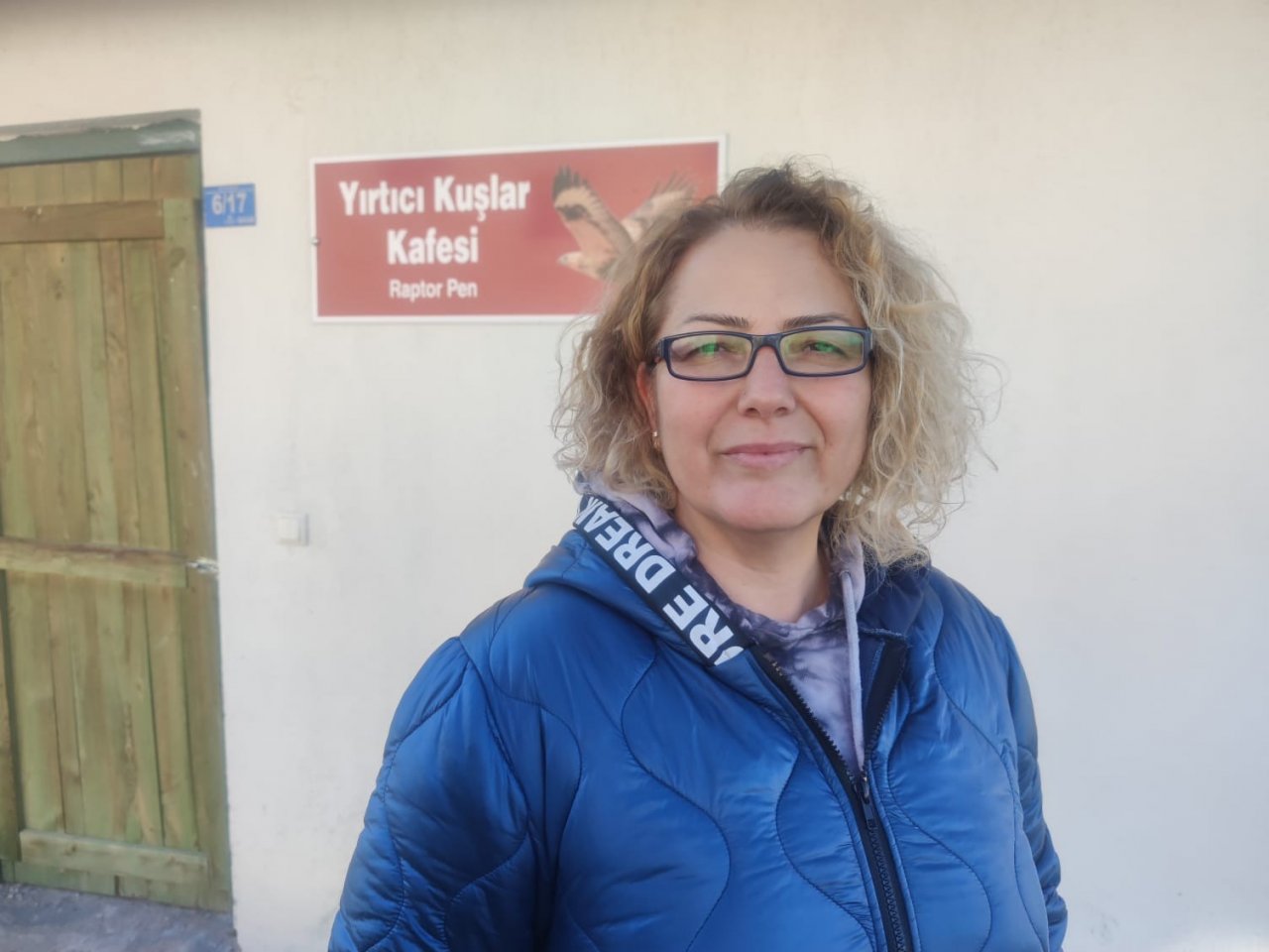 Cama çarpan atmacanın tedavi tamamlandı ve doğa salındı