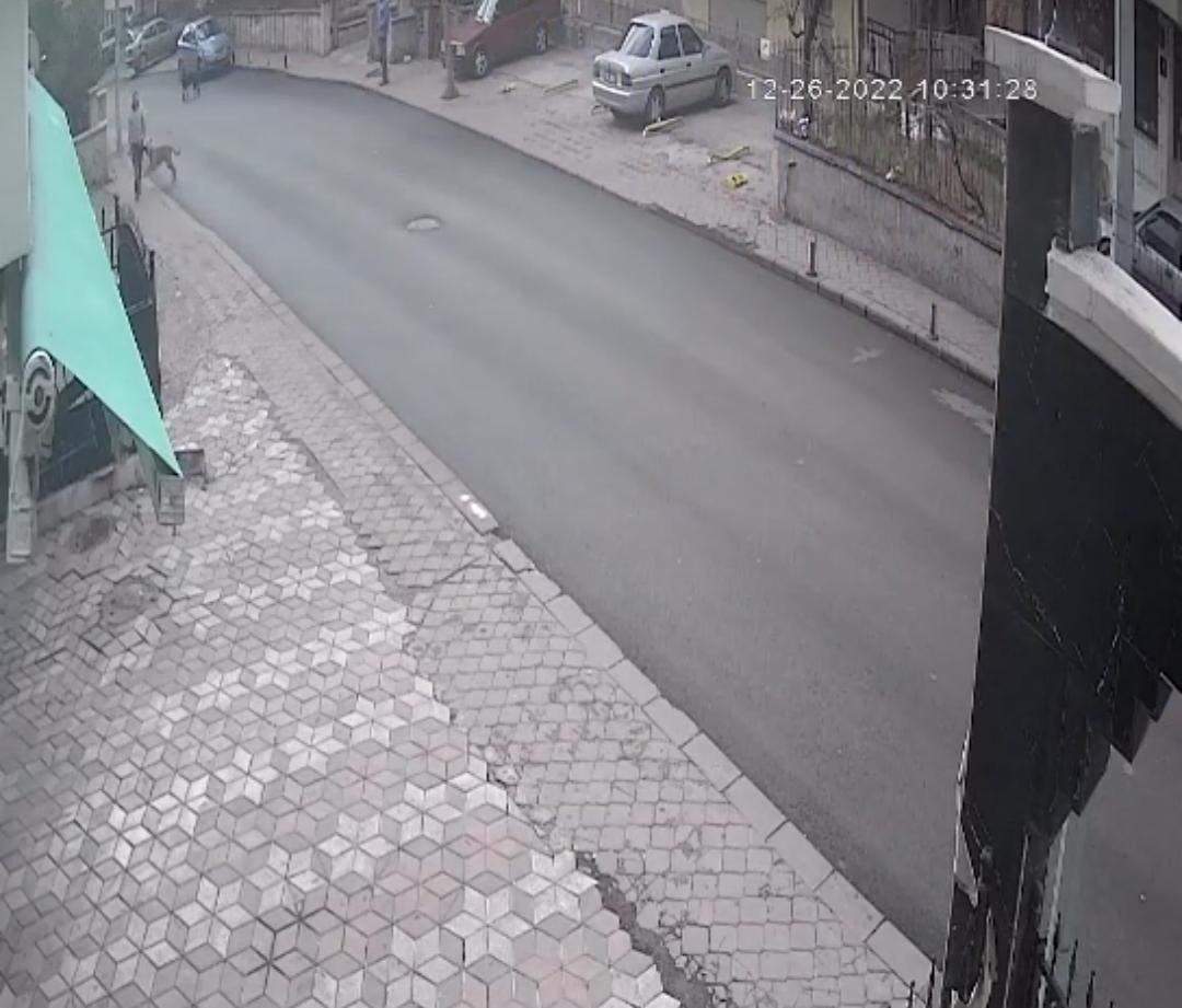 Başıboş köpeklerin saldırdığı vatandaşın yaşadığı dehşet kamerada