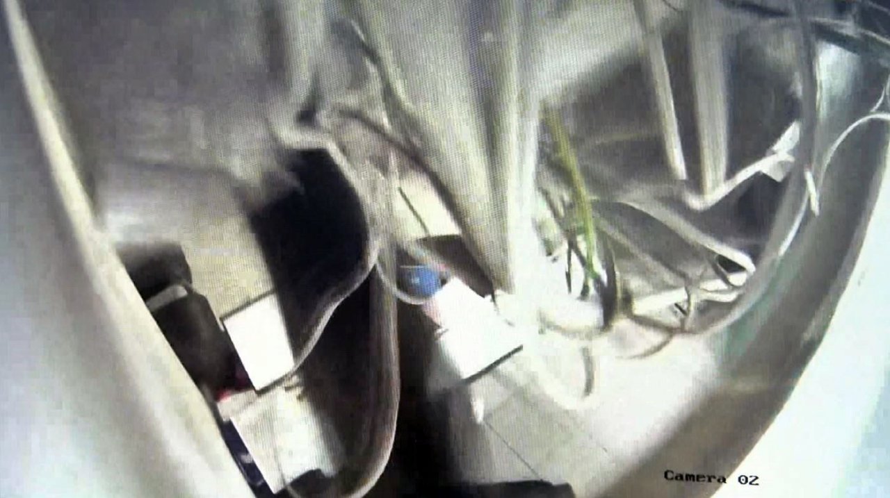 Diyeti bozan obez kedi asma tavanı çökertti