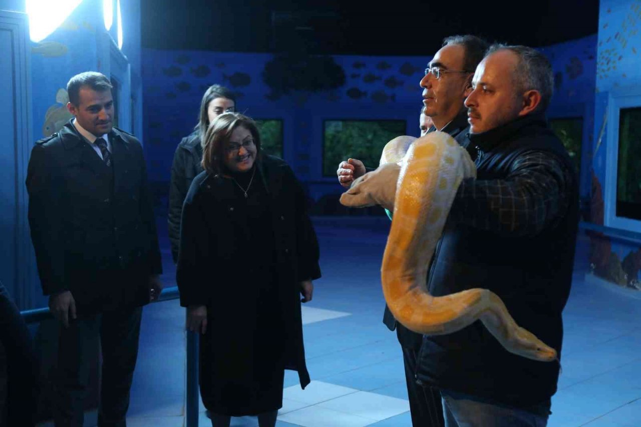 Kaçak yollarla yurda sokulan 108 hayvanın yeni yuvası Gaziantep oldu