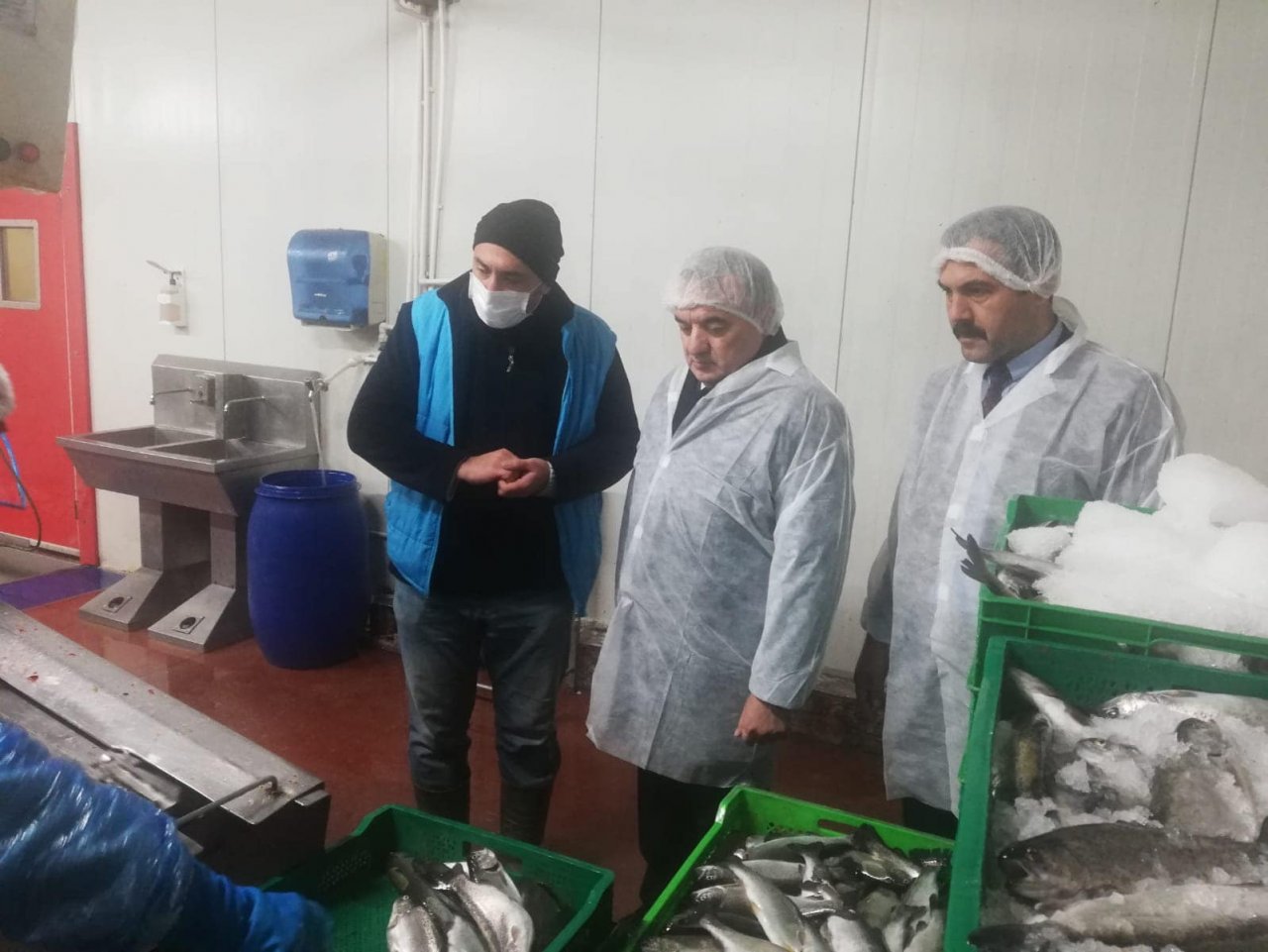 Rusya, Almanya, Çekya gibi ülkelere alabalık ihracatı yapıyor